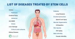 List of Diseases Treated by Stem Cells in India