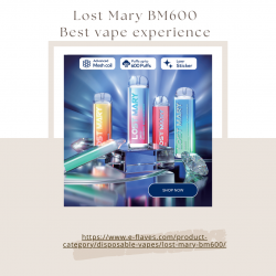 Lost Mary BM600 wholesale supplier By e-flaves