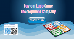 Reliable Ludo Game Development Provider