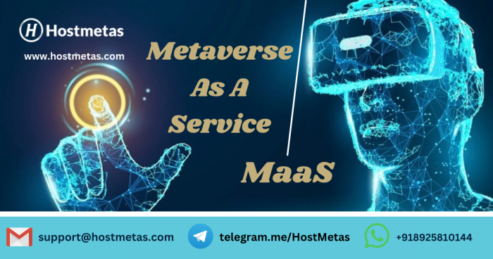 Metaverse As A Service