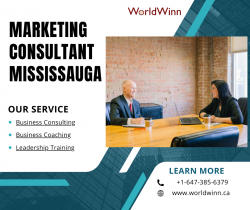 Marketing Consultant Mississauga