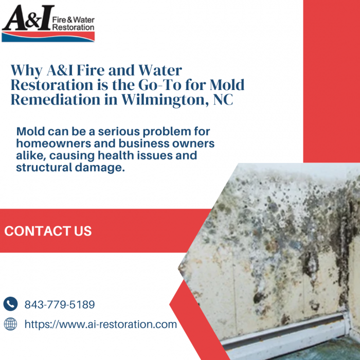 Why A&I Fire and Water Restoration is the Go-To for Mold Remediation in Wilmington, NC