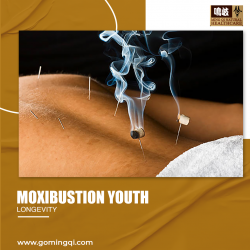 Moxibustion Youth Longevity