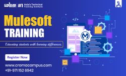 MuleSoft Online Training