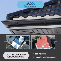 Protect Your Home with Gutter Guards in Lincolnton, NC: The Ultimate Guide to Maintaining Your R ...