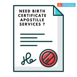 Need birth certificate apostille services