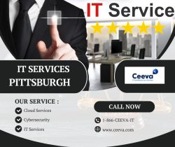 IT Services Pittsburgh | Ceeva