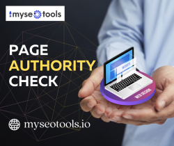 Improve Your Website’s Authority with MySEOTools’ Page Authority Check