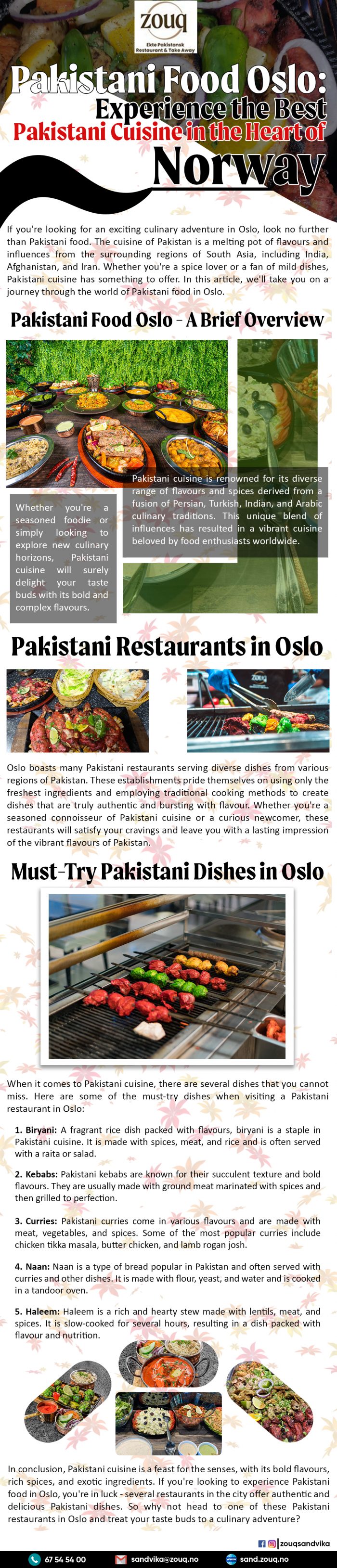Pakistani Food Oslo: Experience the Best Pakistani Cuisine in the Heart of Norway