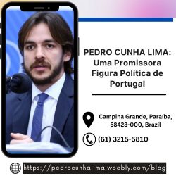 PEDRO CUNHA LIMA: Uma Promissora Figura Política de Portugal