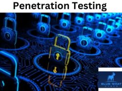 Safeguard Your Systems With Penetration Testing Services