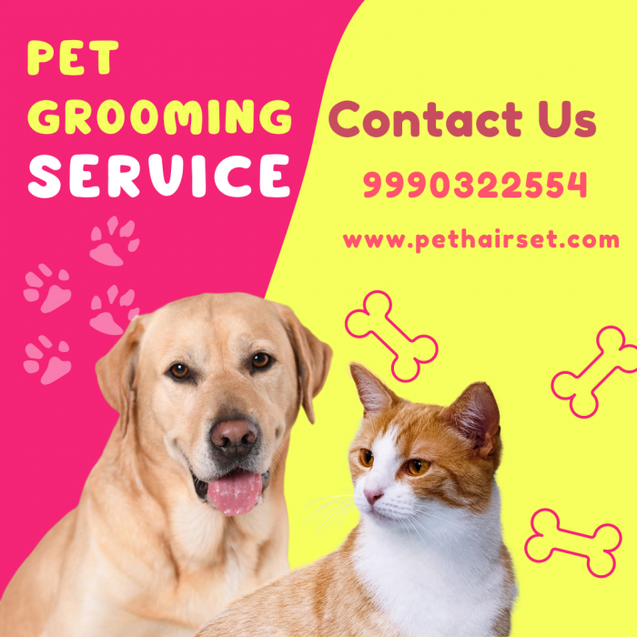 Get Professional Pet Grooming at Home – Pet Hair Set