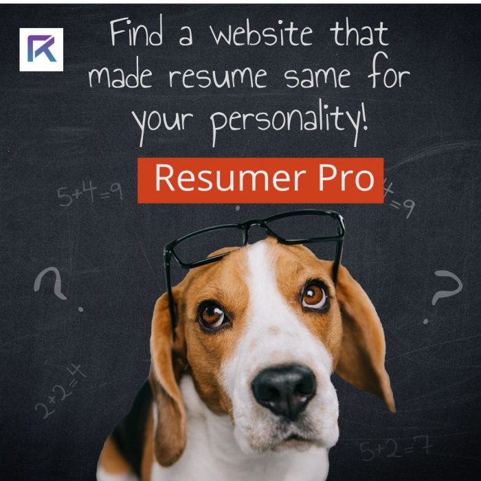 Create a Professional Resume in Minutes with Our Free Online Resume Builder