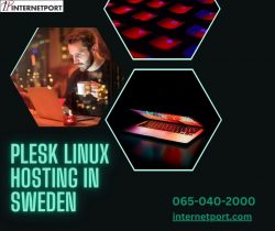 Flexible and Secure Plesk Linux Hosting Solutions in Sweden by Internet port