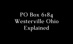 The Definitive Guide to PO Box