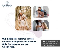 Solonglice – professional lice treatment in your area of northeast ohio