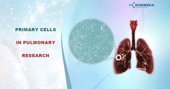 Primary Cells in Pulmonary Research