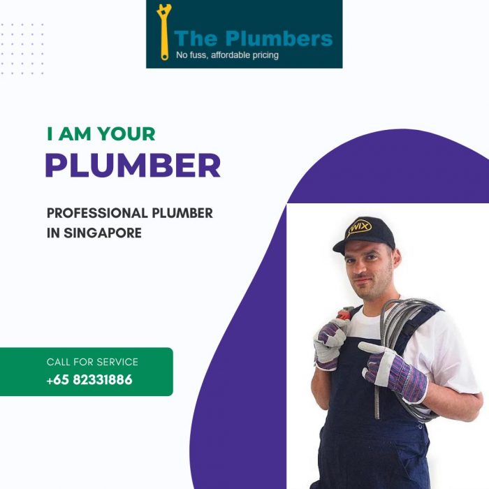 Professional Plumber in Singapore