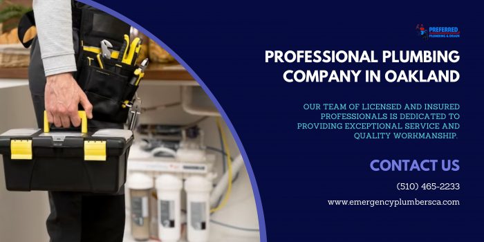 Professional Plumbing Company in Oakland