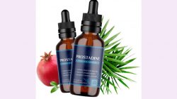 Prostadine reviews 2023 | natural Organic Is It Worth Buying? From Official Site