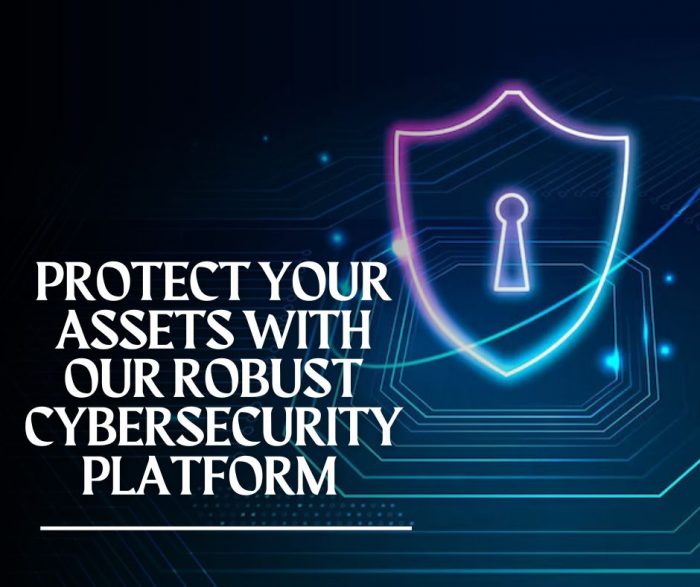Protect Your Assets with Our Robust Cyber Security Platform