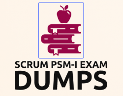 PSM-I Exam Dumps with performance-based questions take longer