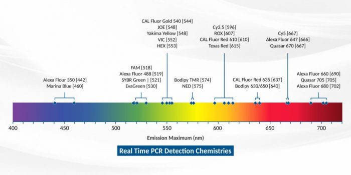 Real Time PCR the most recognized Molecular Biology technique of 21st Century
