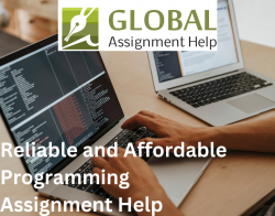 Reliable and Affordable Programming Assignment Help In The USA