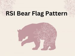 RSI BEAR FLAG PATTERN