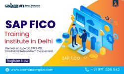 SAP FICO Training in Delhi
