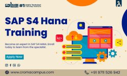 What Is SAP S/4 HANA Used For?