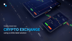 Crypto Exchange Software: Revolutionizing the World of Cryptocurrency Trading