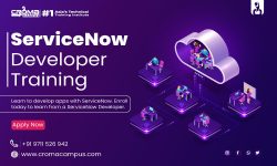 ServiceNow Developer Course in Delhi