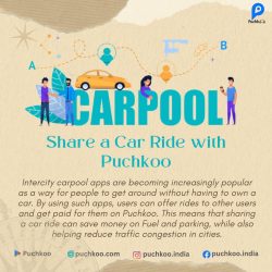Use Ride Sharing App | Share a Car Ride | Puchkoo