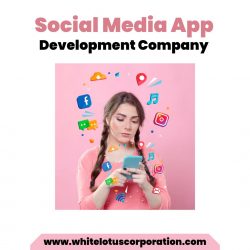 Social Media App Development Company