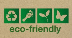Eco-Friendly Products in India