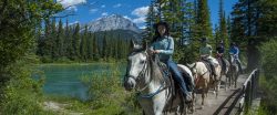 Capturing the Thrill: Horseback Adventure Ride Moments