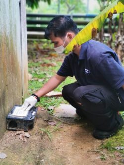 Ezzy Pest Management Services – Termite Treatment in Singapore