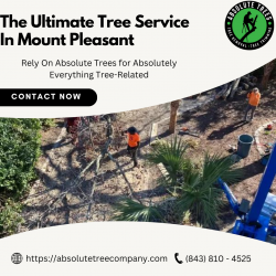 Absolute Trees: The Ultimate Tree Service in Mount Pleasant SC