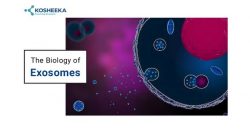 The Biology of Exosomes
