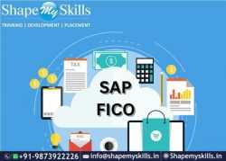 Top SAP FICO Training in Noida | ShapeMySkills