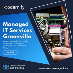 Expert Managed IT Services for Businesses in Greenville – Streamline Your Operations Today!
