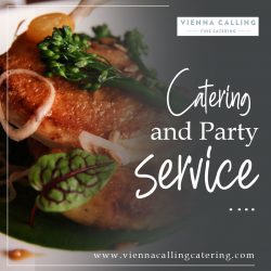 Vienna Calling Catering Elevate Your Next Event with Our Premium Catering and Party Service