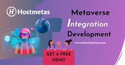 Metaverse Integration Development