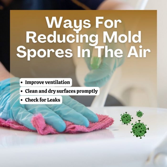 Ways for Reducing Mold Spores in the Air