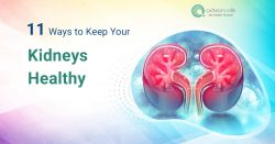 Keep Your Kidneys Healthy with These Simple Ways