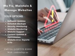 website care and maintenance services