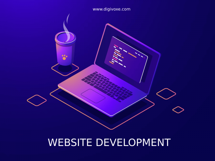 Hire Best Website Development Company in India