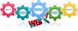 Website Maintenance Services Company in California