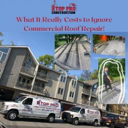 What It Really Costs to Ignore Commercial Roof Repair!